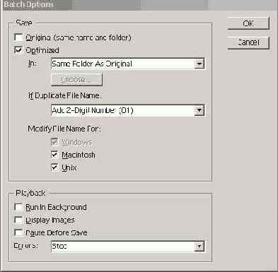 Диалоговое окно Batch Options